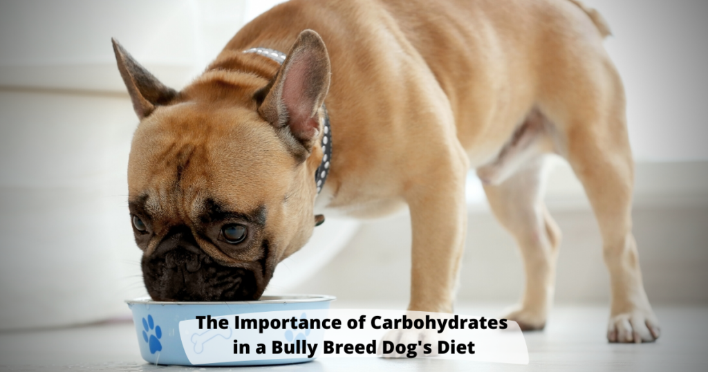 The Importance of Carbohydrates in a Bully Breed Dog’s Diet