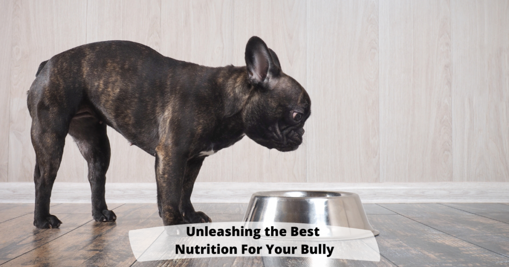 Unleashing the Best Nutrition for Your Bully