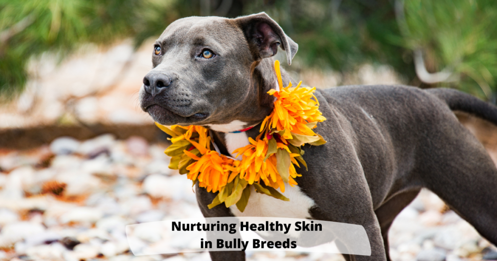Nurturing Healthy Skin in Bully Breeds