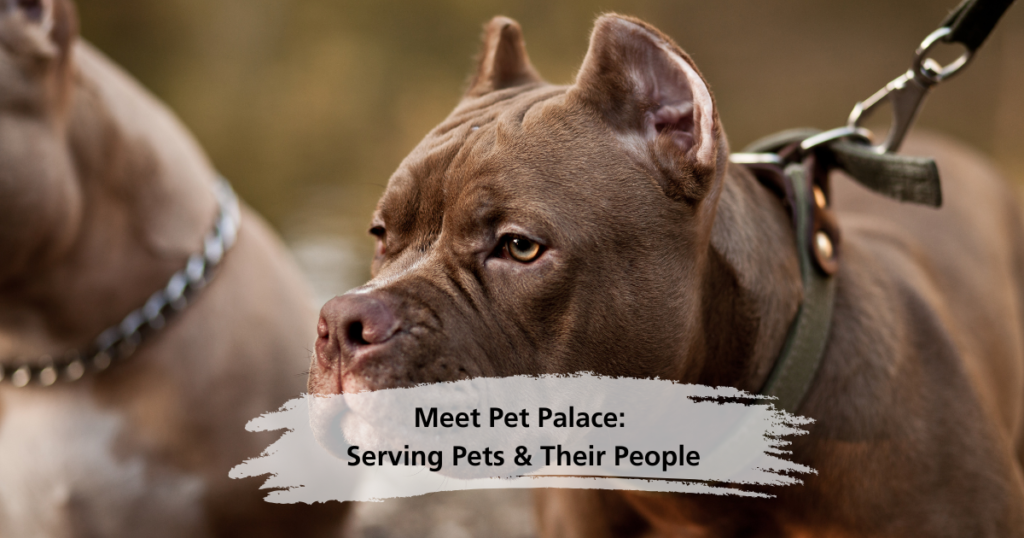 Meet Pet Palace in Bakersfield, CA — Celebrating 2 Years of Serving Pets & Their People