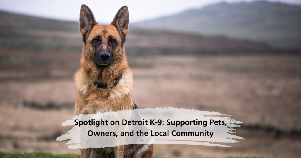 Spotlight on Detroit K-9: Supporting Pets, Owners, and the Local Community